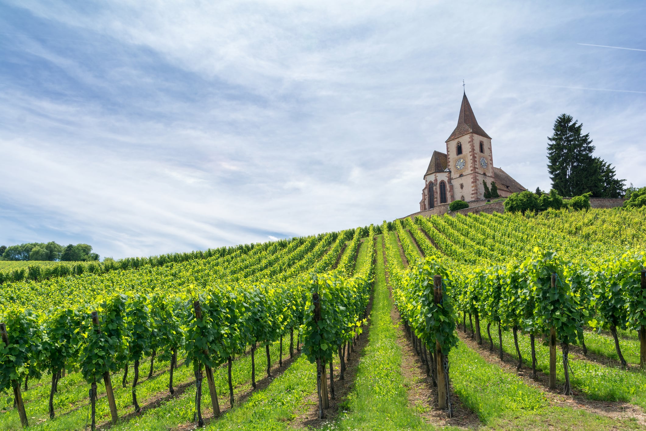 AXA Climate backs regenerative farming amid growing climate risks