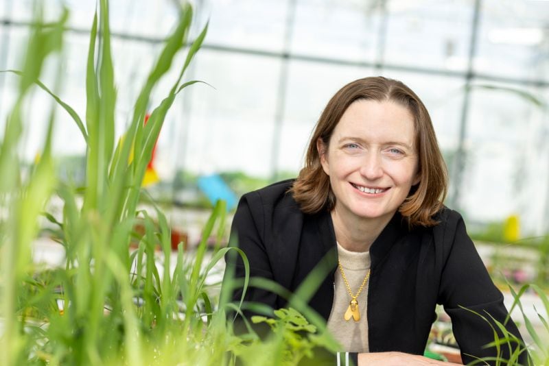 “This marks a major milestone for Moa Technology – a validation of the outstanding progress we have made not just in the laboratory, but also in striking commercial deals with leading industry partners around the world,” CEO Dr Virginia Corless