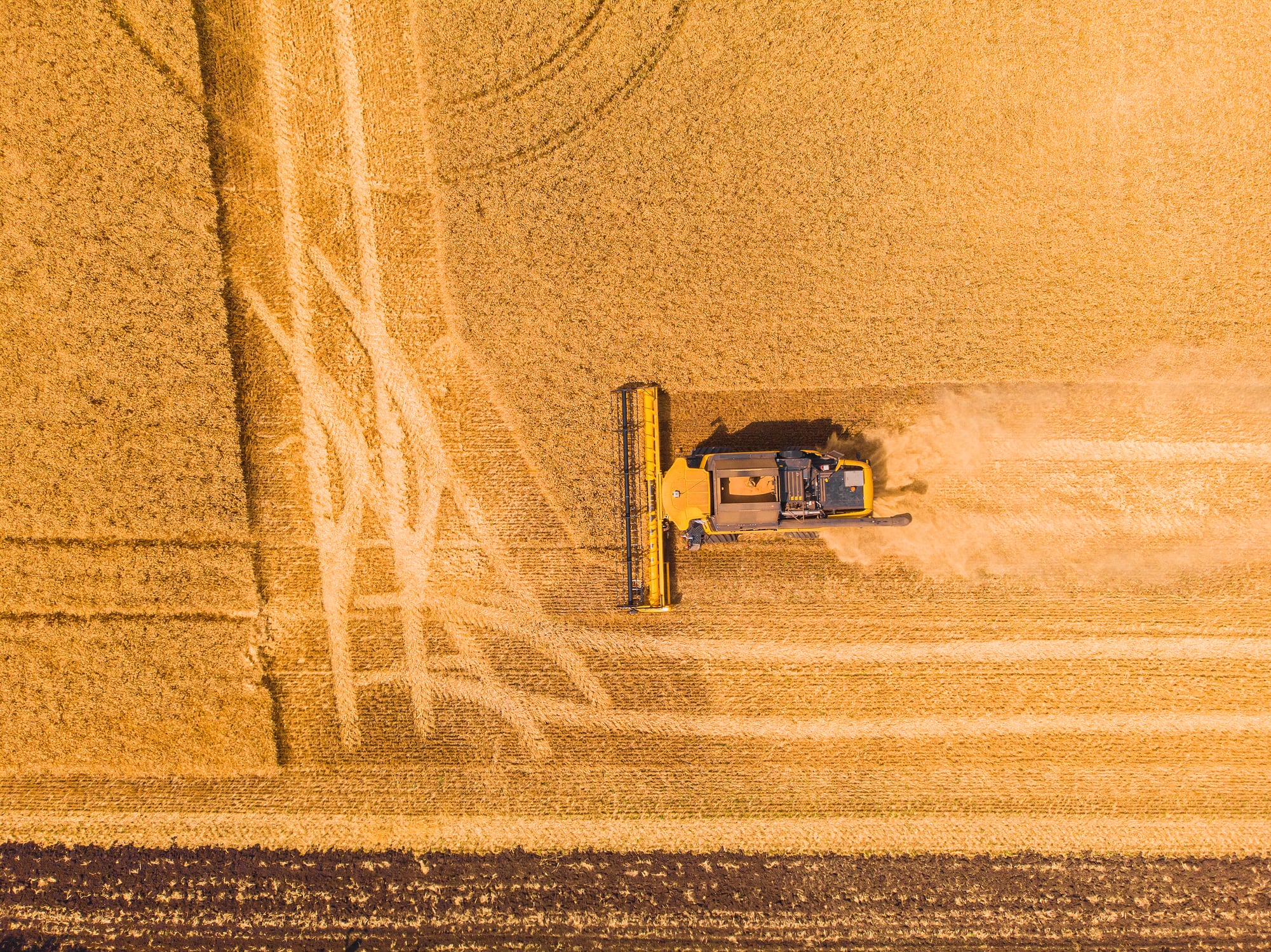 Aerial view of summer harvest. Combine harvester harvesting large field. Agriculture from drone view.