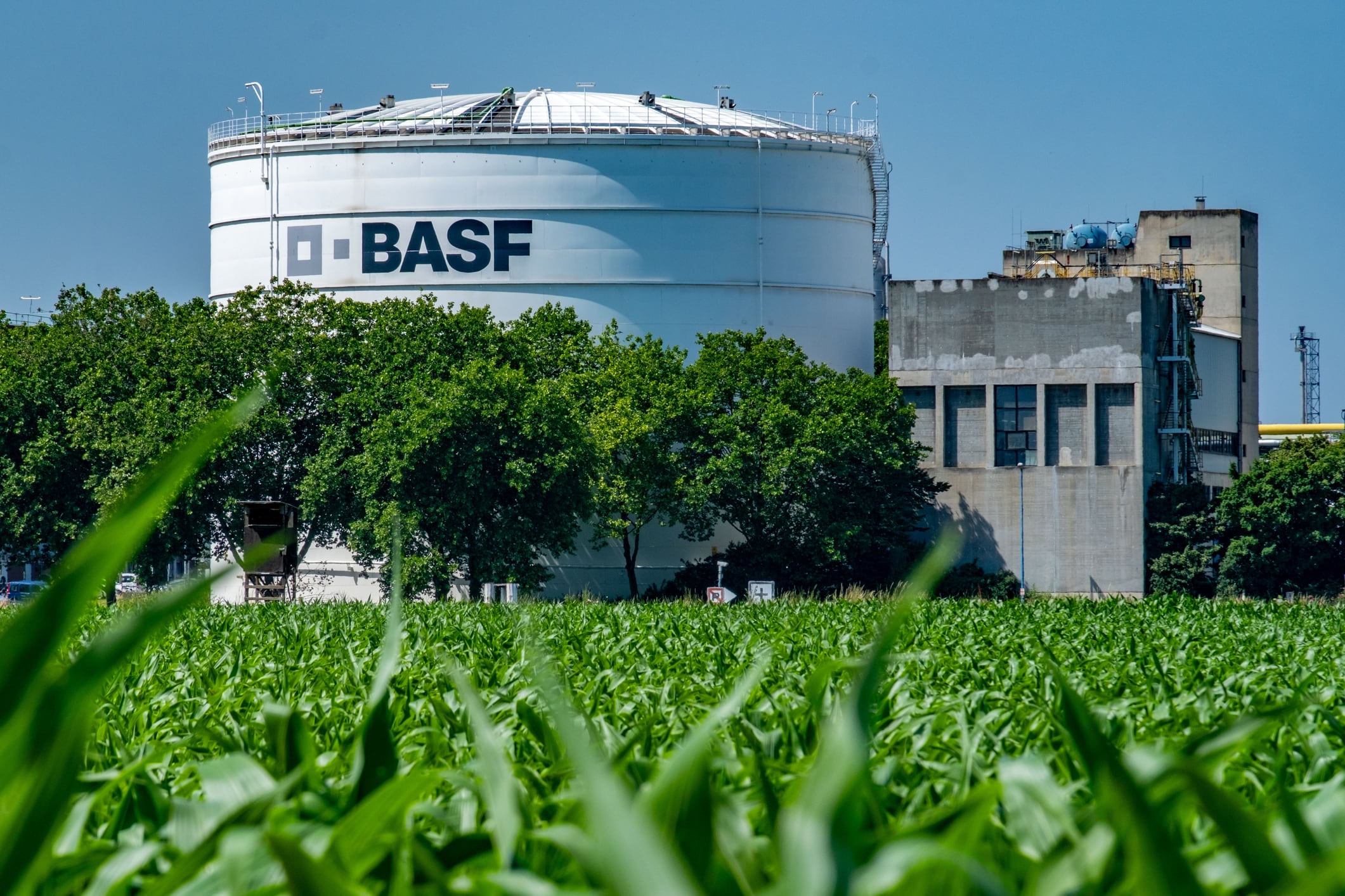 Although BASF said it has not yet seen signs of weakening demand, executives warned that inflation and fragile consumer confidence could weigh on economic activity in the second half of the year.