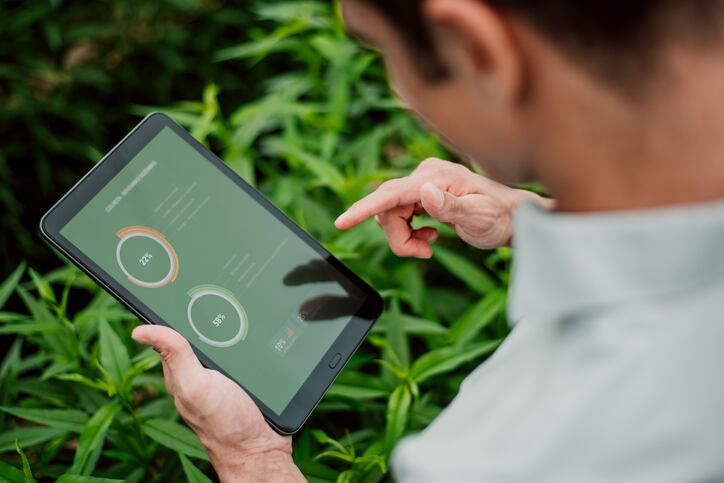 Agri-food businesses embrace digital transformation, yet struggle with data