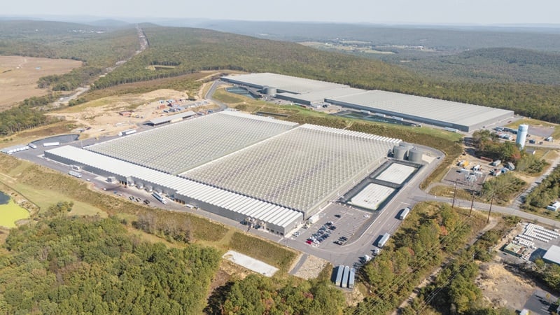 Back to the future: Indoor ag co. Little Leaf Farms finds success by returning to farming roots