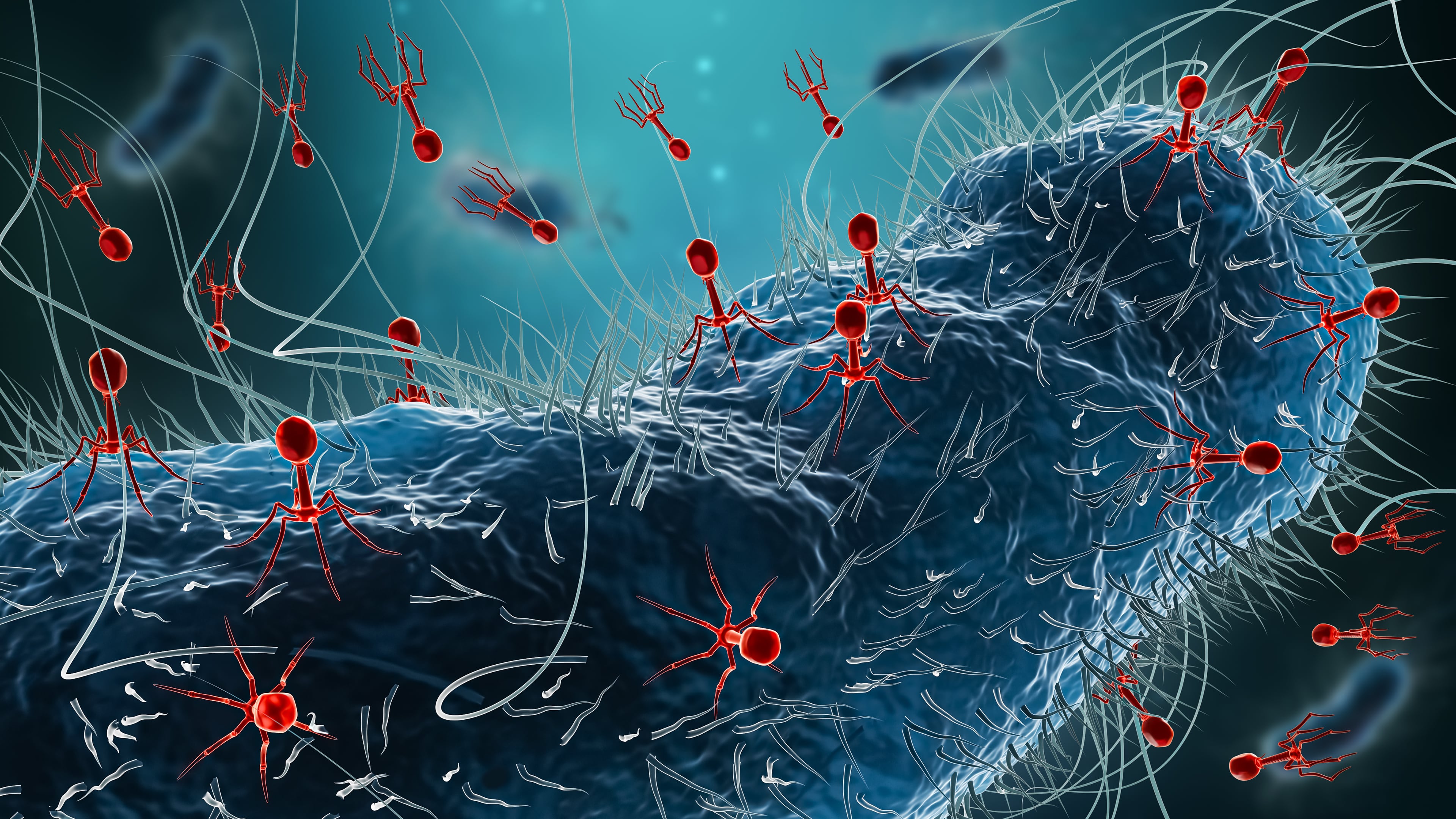 Commercializing phages: Inside three pioneering companies