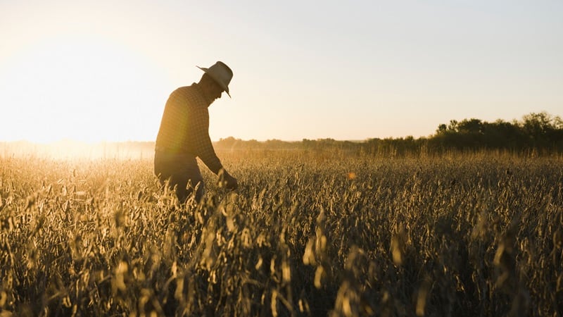 U.S. farmer sentiment rises in March, despite increasing crop input costs