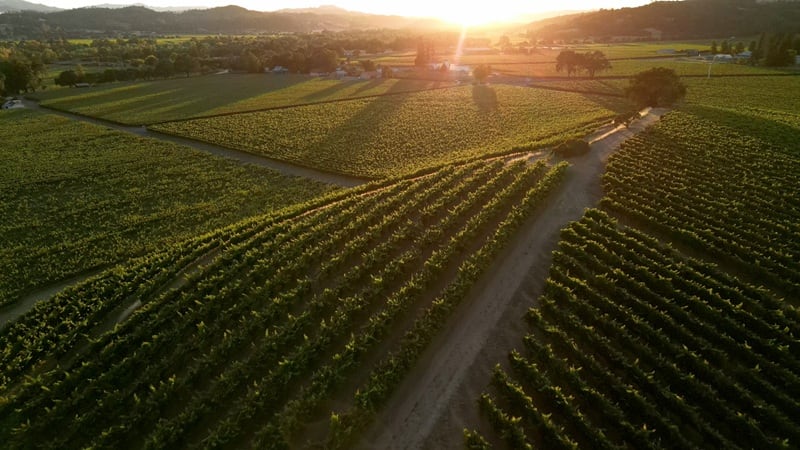 ‘The Olympic village of agtech’ cuts ribbon on second site, toasts California’s wine country