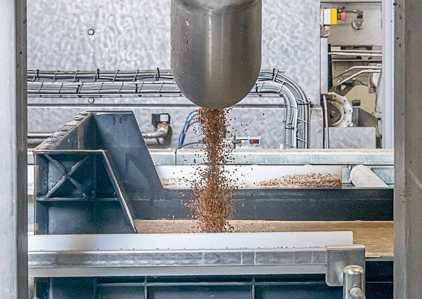 The insect production industry is entering a new era and Big Dutchman spinout BIS is rowing in behind it 