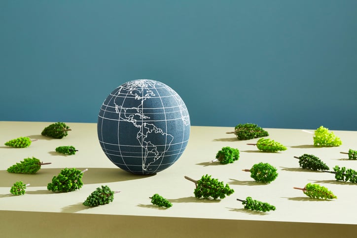 Cargill makes new deforestation-free commodities pledge: 'This is a big deal'