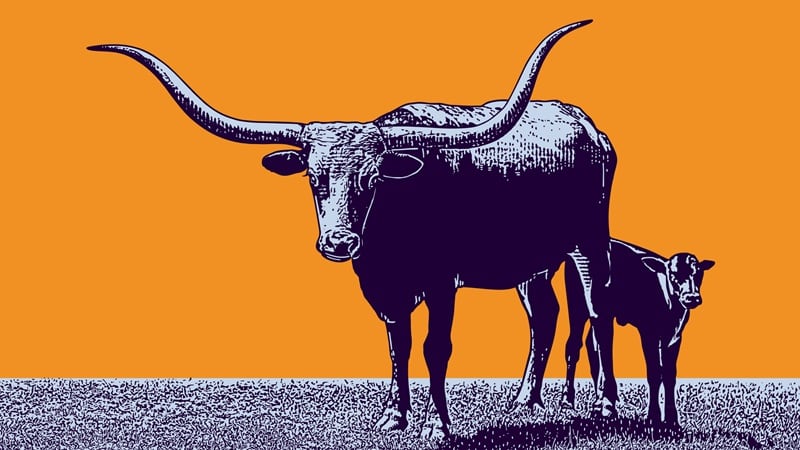 From biosecurity to supply chain challenges: How the animal protein sector is evolving to deliver safe, nutritious food