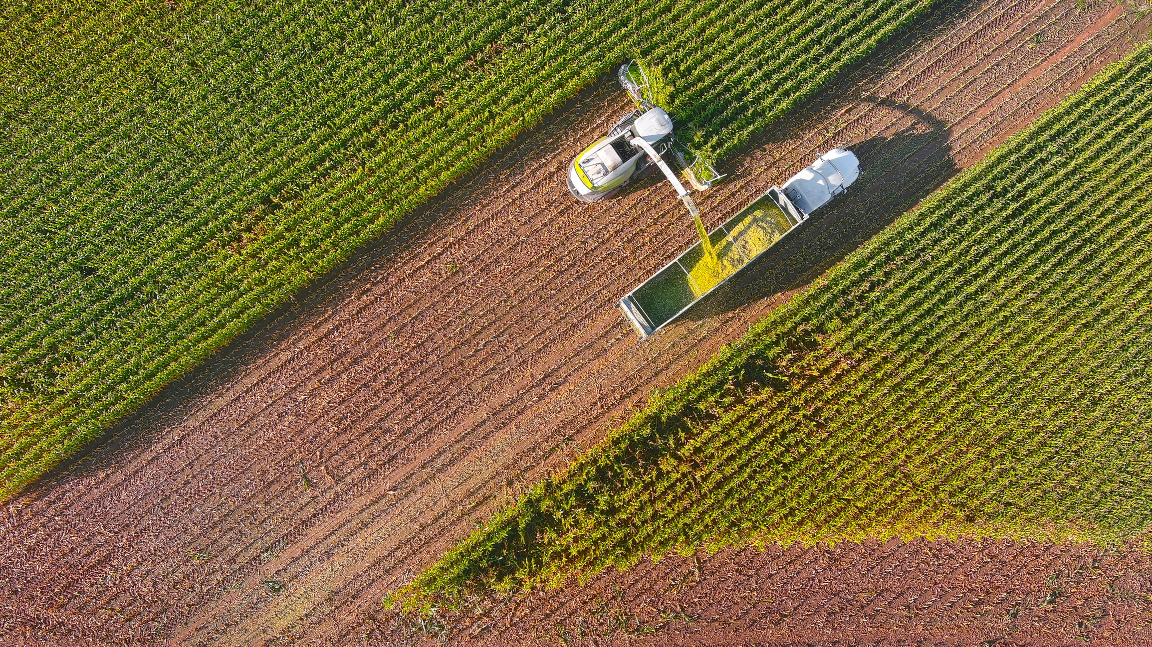 Vylor makes first big agtech collaboration ahead of Corteva split.
