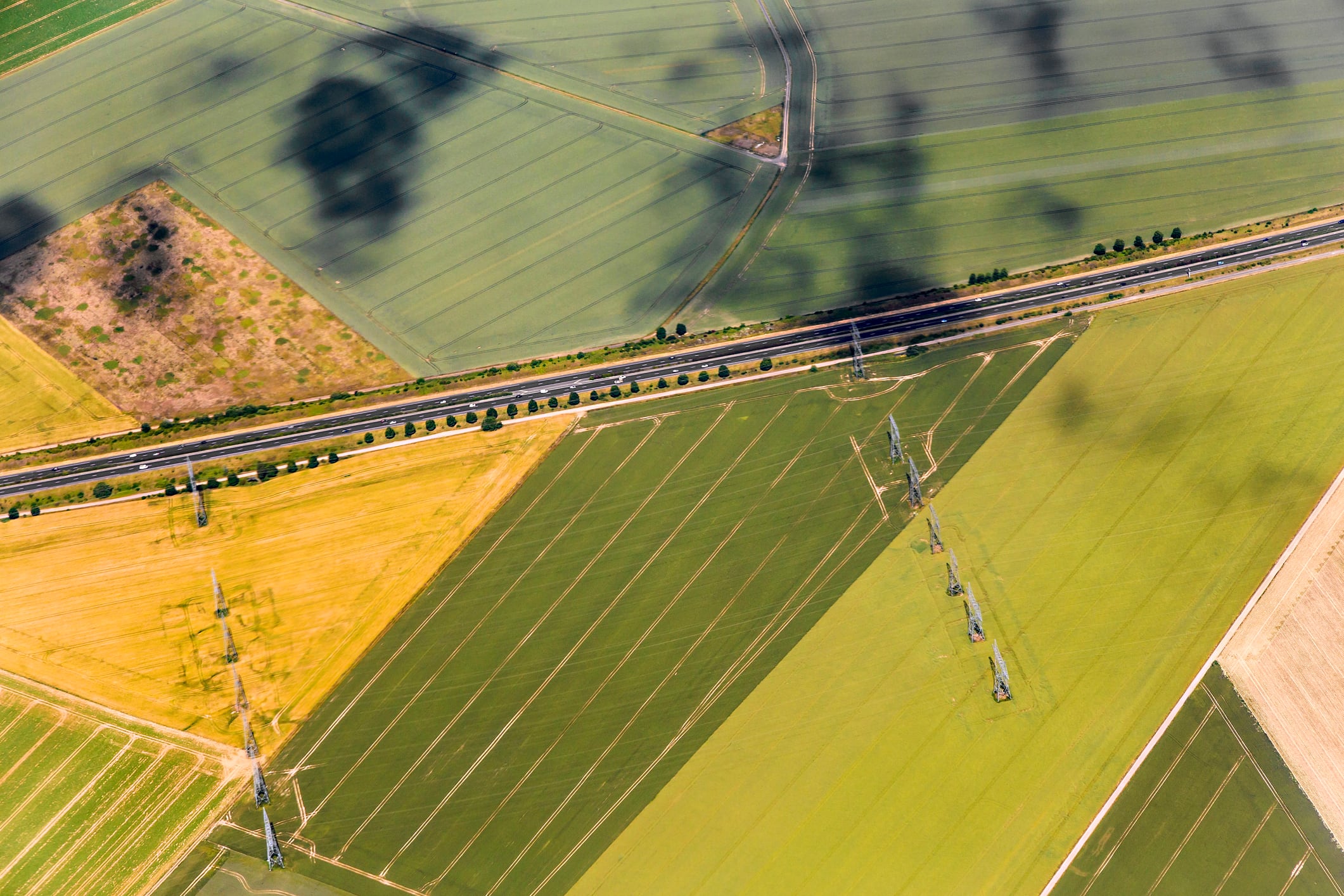 Tate & Lyle launches regenerative agriculture programme in France to boost corn supply resilience