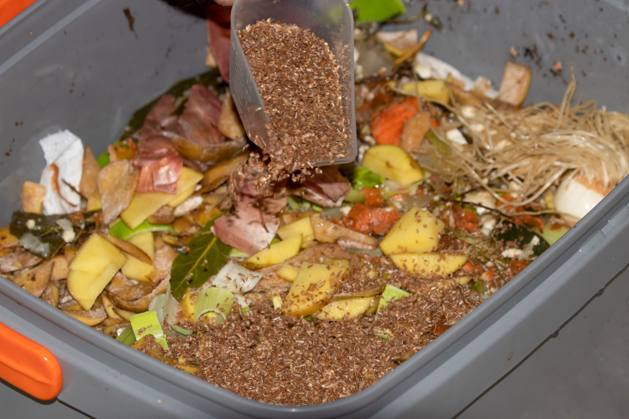 Waste innovation: How tech advances could turn plant-based food by-products into heavy metal contamination combatants