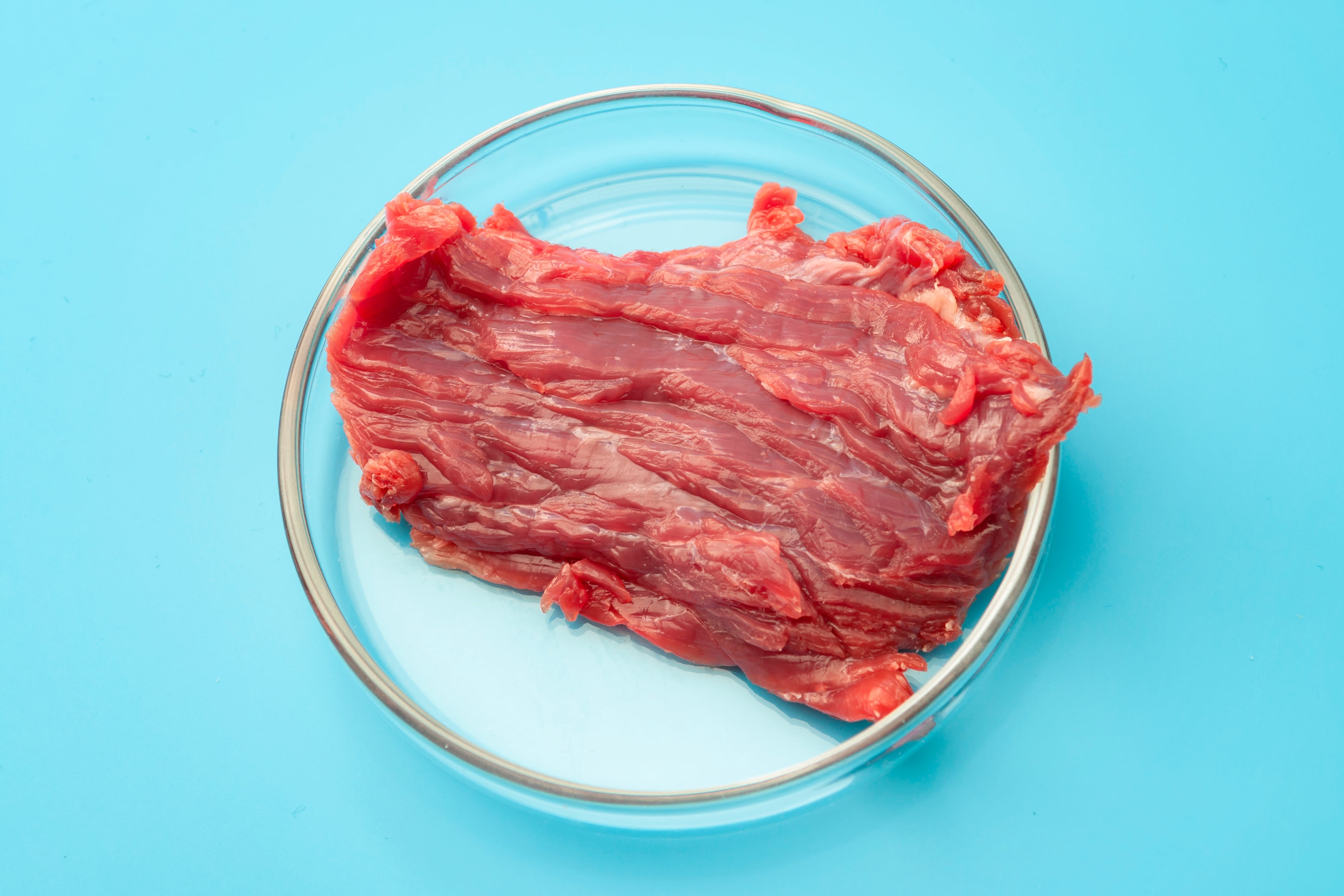 As good as Wagyu? Specialised feed improves meat quality of Japan’s crossbred cattle 