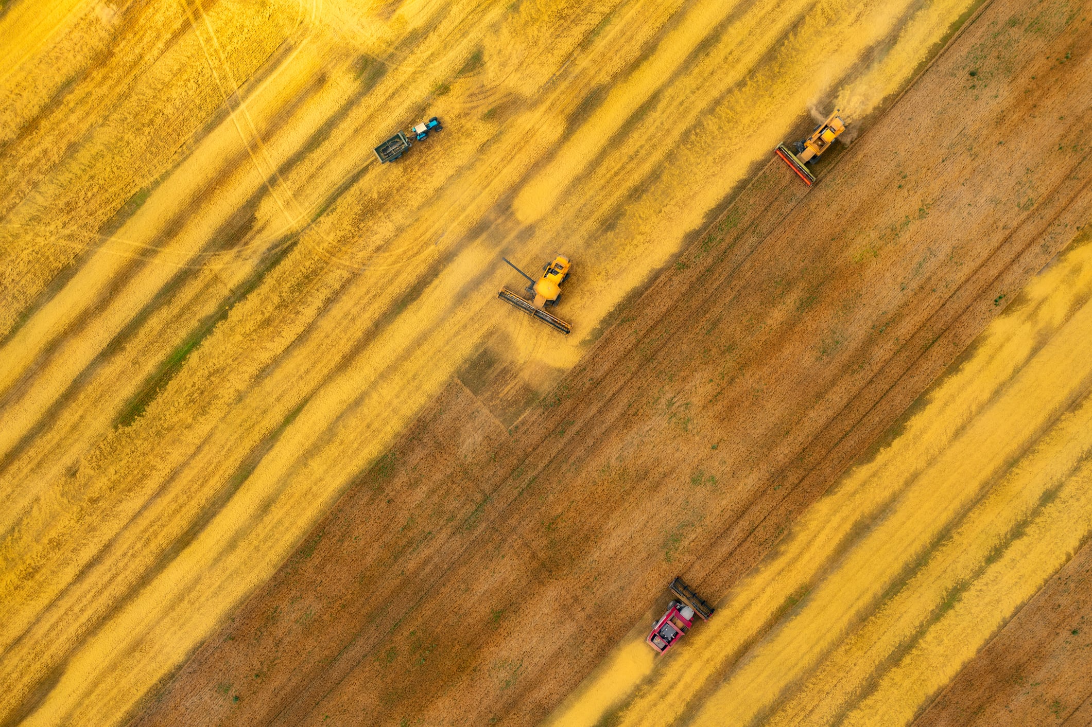 Fast‑tracked Ukraine accession could upend EU agriculture, crop care group warns