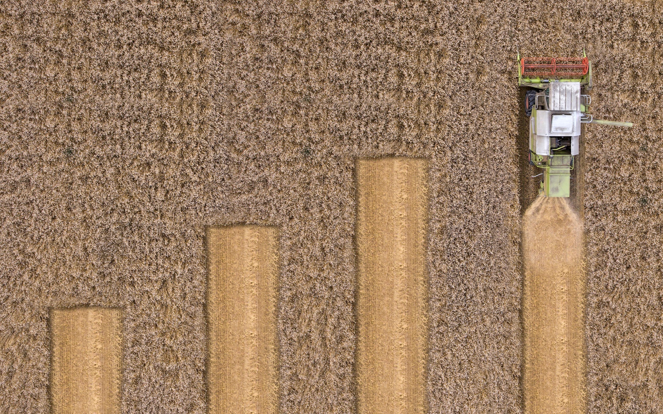 AI and operational agility set to reshape agriculture trading, McKinsey analysis shows