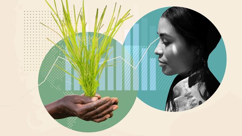 Food security concept