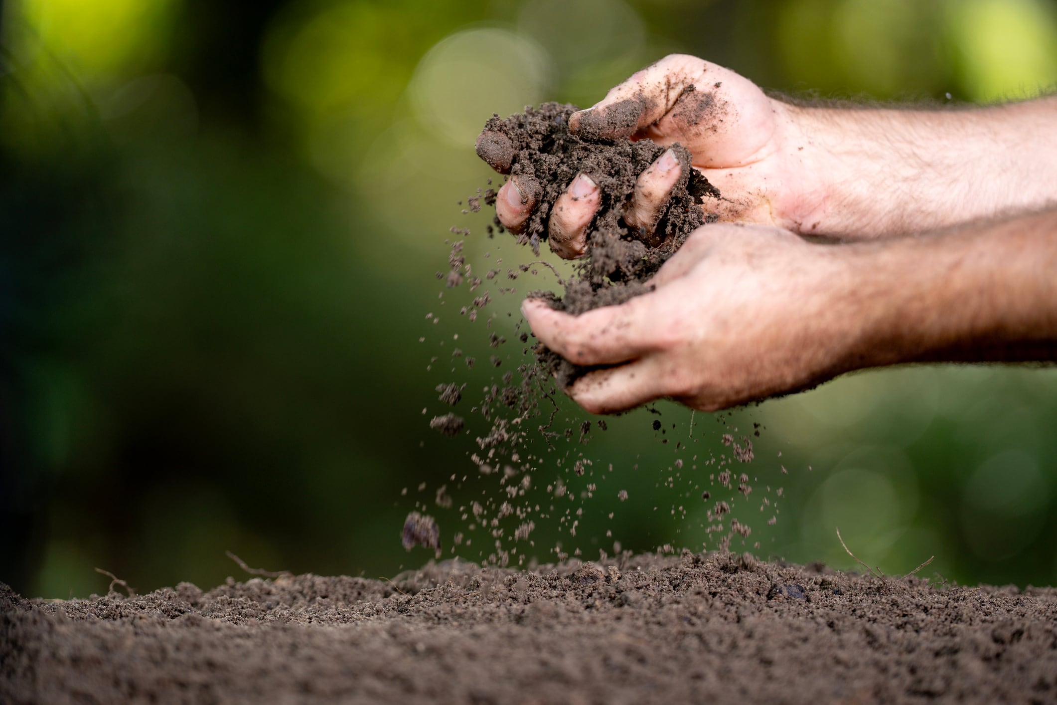 Why Syngenta is betting on biology, AI and modelling to reinvent crop protection