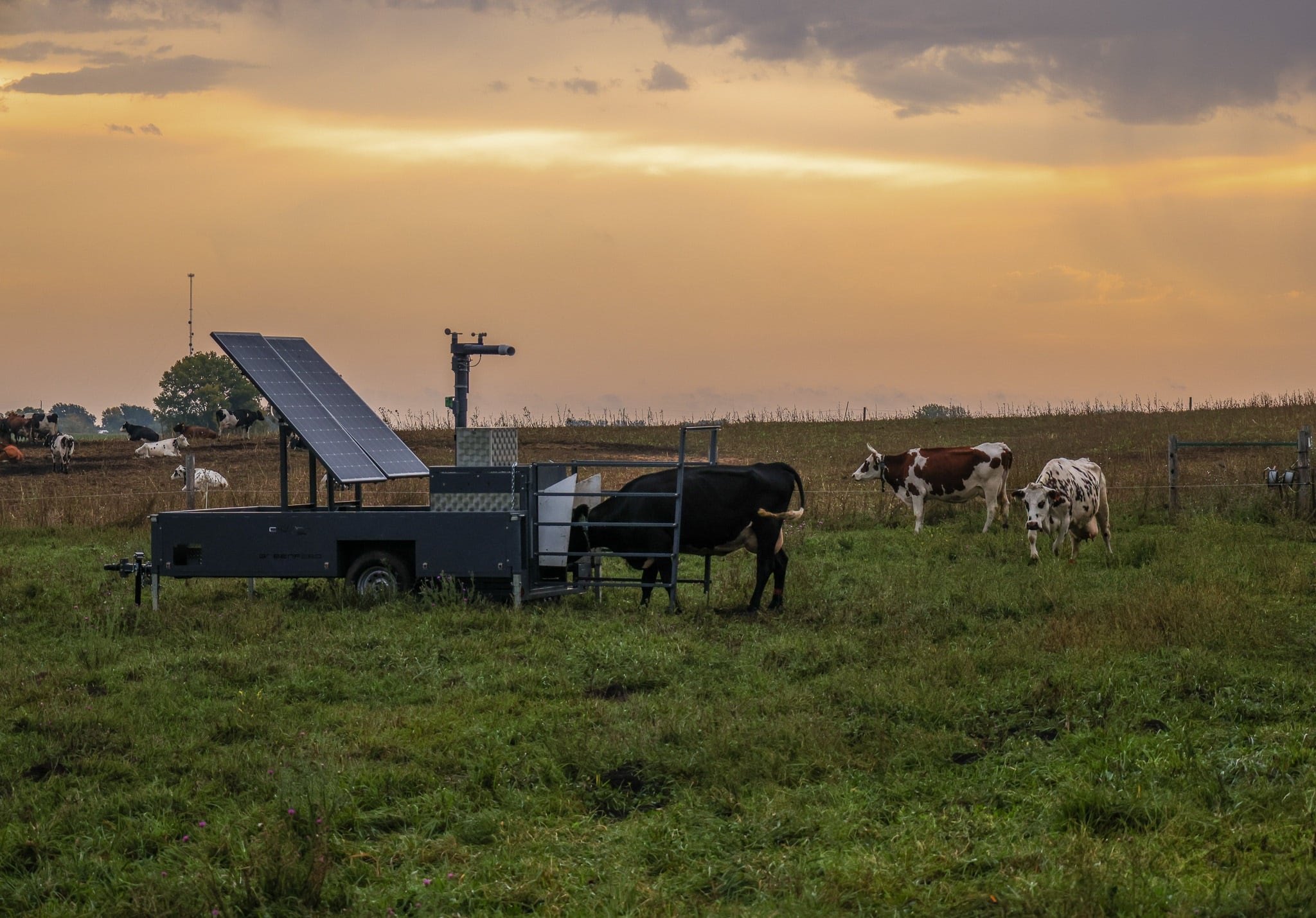 GreenFeed device in field