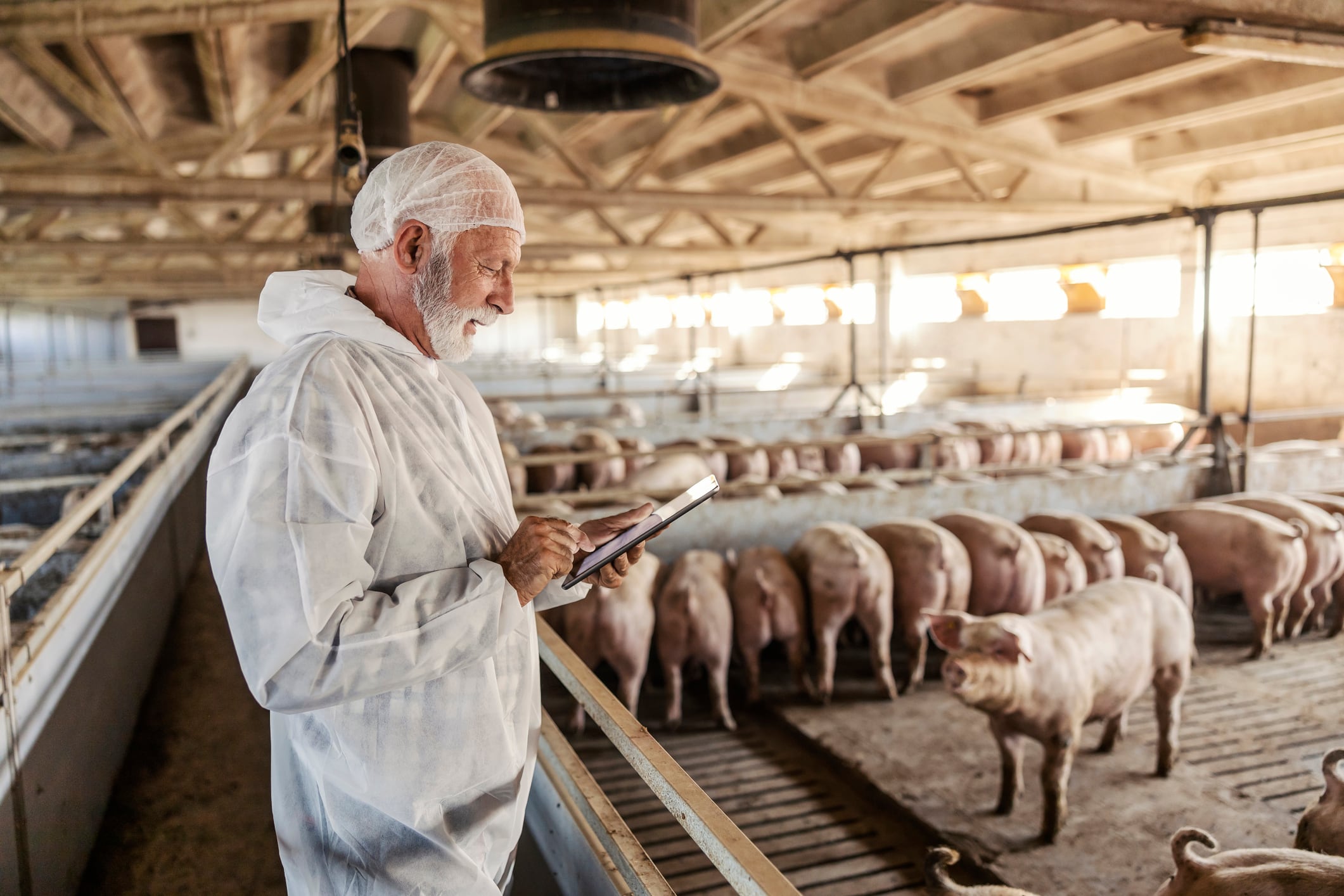 From lab to livestock: Why ProtonDx took its rapid diagnostic tech beyond human health