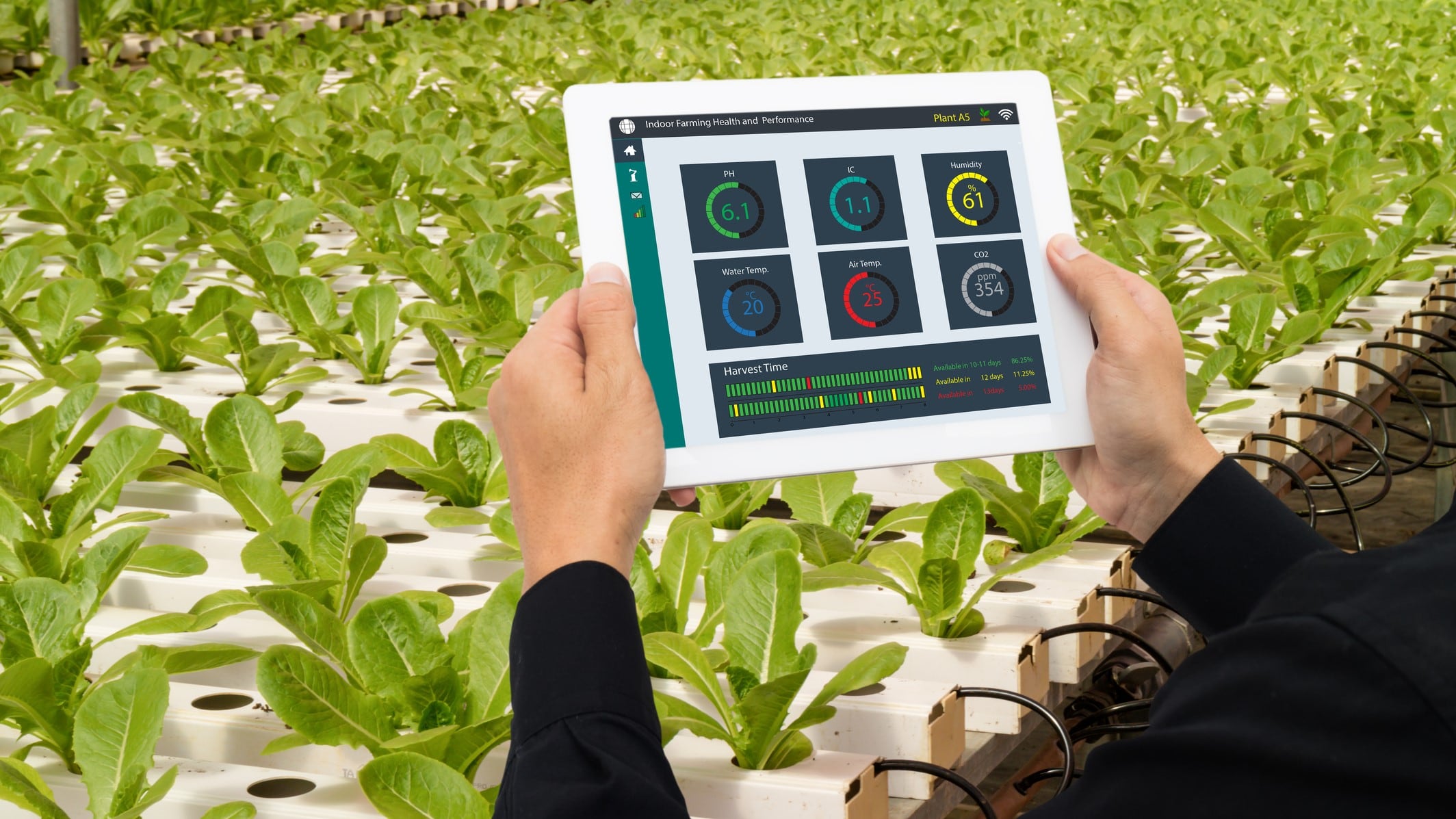 Indoor vertical farms: Environmental impact highly dependent on operational conditions – new research