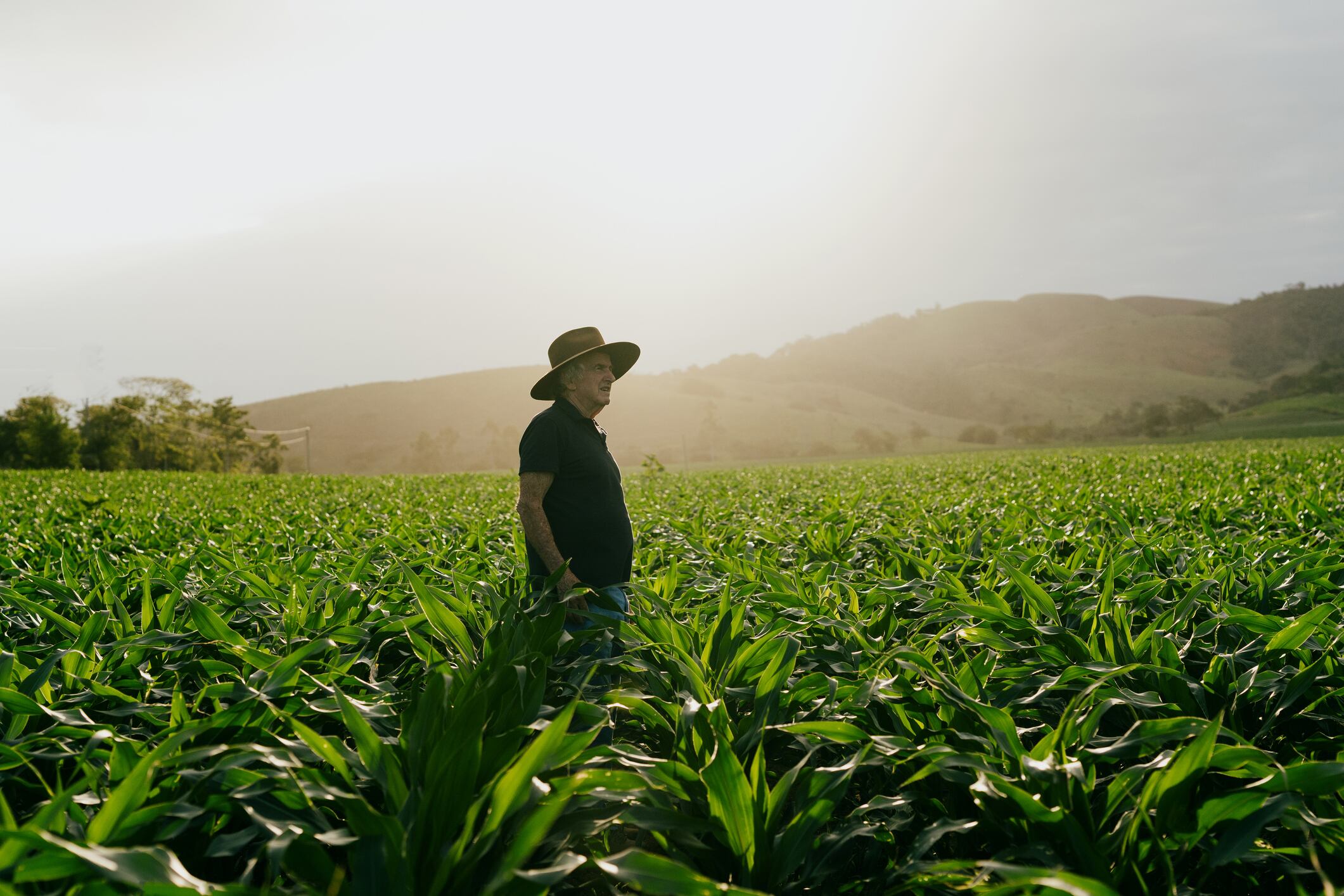 For Rovensa Next, Brazil is becoming both a key market and a strategic innovation hub, where biological technologies can be developed, tested and scaled for global use.