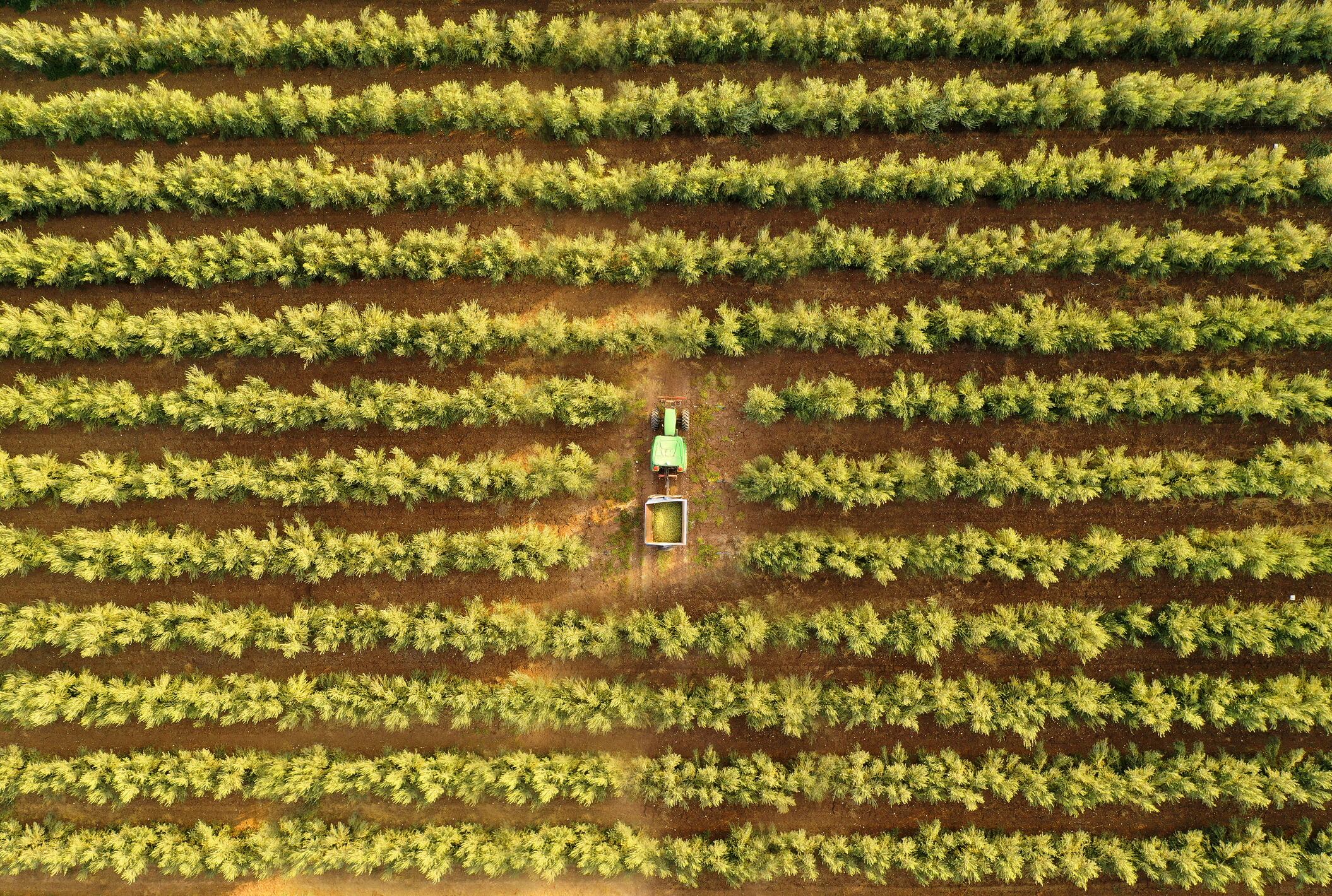 Cibus Capital’s blend of private equity and venture is bearing fruit
