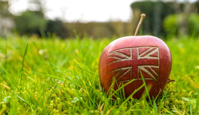 Innovation set to accelerate as UK’s largest agri-tech body unveiled