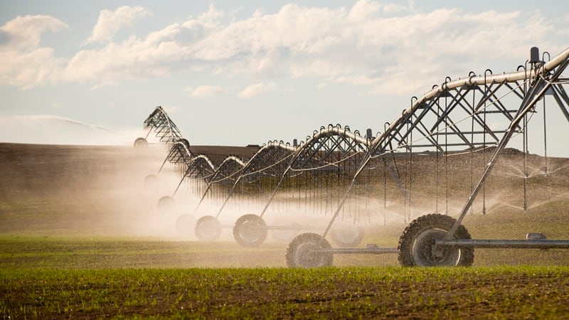 Intelligent irrigation: How agtech start-up Agro-AI helps farmers manage water resources 