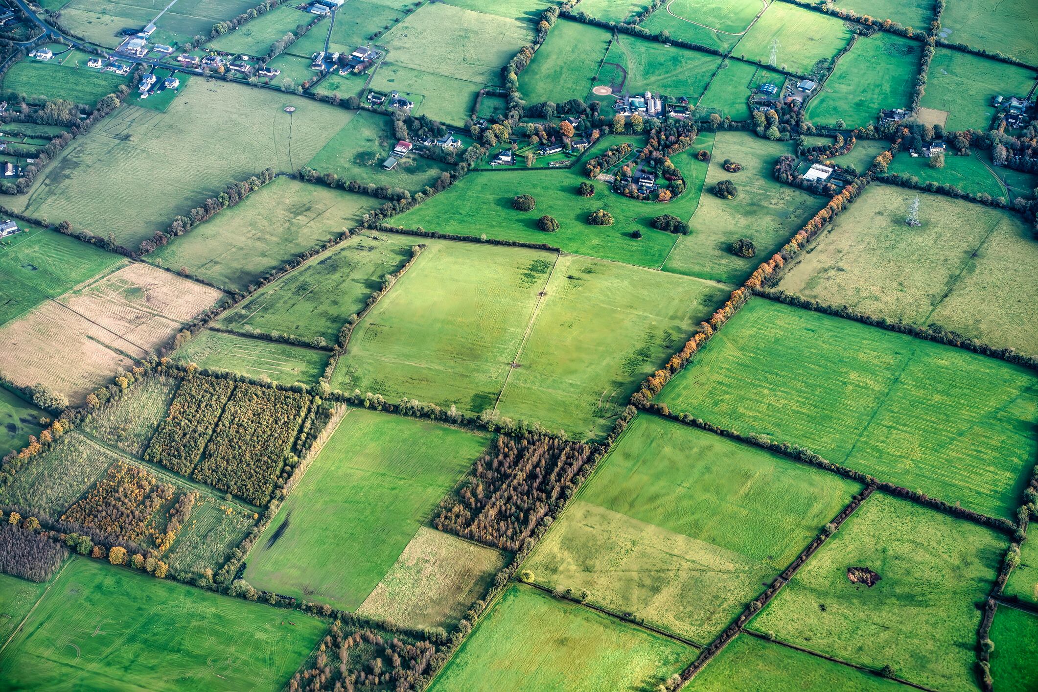 Satellite imagery is enabling continuous, paddock-level monitoring of grass growth and performance on Irish farms, replacing traditional field walks with full-farm, data-driven insights.