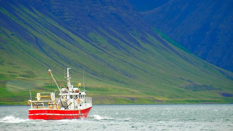 From an EU vote to sustainability: Where does Iceland’s fishing sector go from here? 