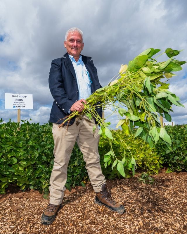 “The results went beyond expectations”: Dr Frank Röber showcases gene-edited soybean plants from Corteva’s UK field trial, which achieved dramatically earlier flowering and maturity.