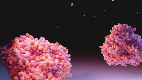Ginkgo Bioworks and Novus team up on enzyme development