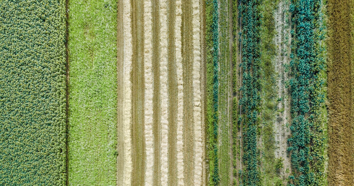 Finance is the missing piece in regenerative agriculture, says HowGood’s Ethan Soloviev