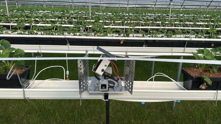 Hexafarms’ wireless sensors continuously collect crop and growing-condition data to feed its AI-powered horticulture platform.