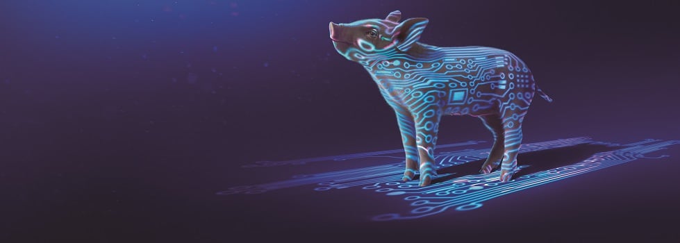 NIRS-application-for-pork-producers-to-deliver-energy-costs.jpg