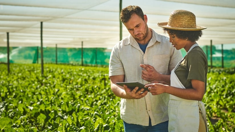 Agtech adoption strategies: Building buy-in from farmers and the wider supply chain