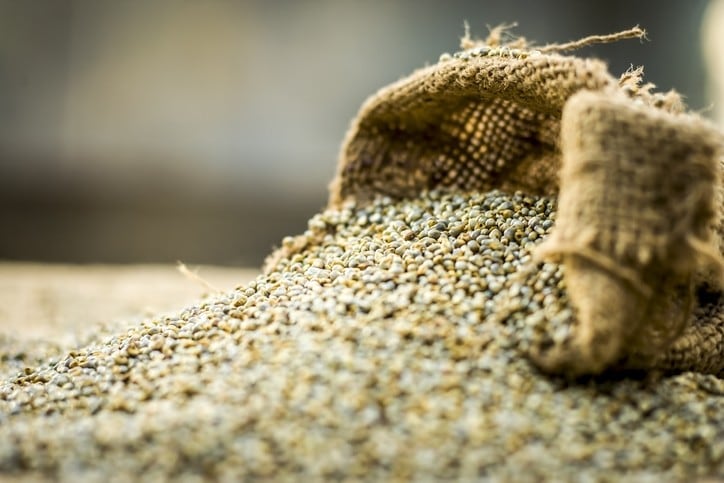 ‘Platinum standard’: New research reveals three ideal genome sequences for pearl millet