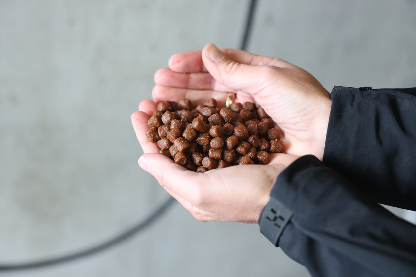 Cargill, InnovaFeed tie-up deemed boost for insect protein sector