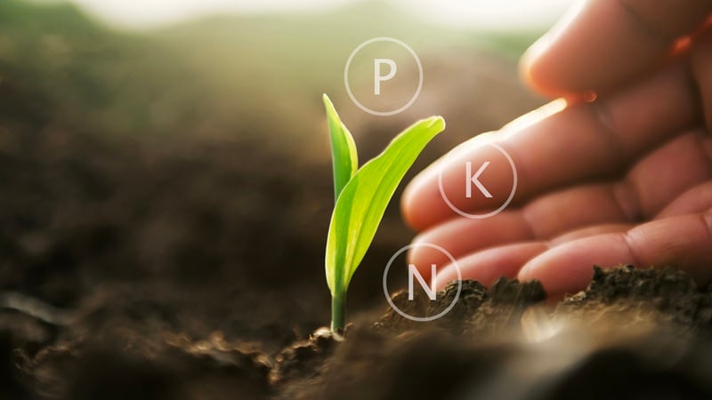 A hand and a sapling with the letters NPK