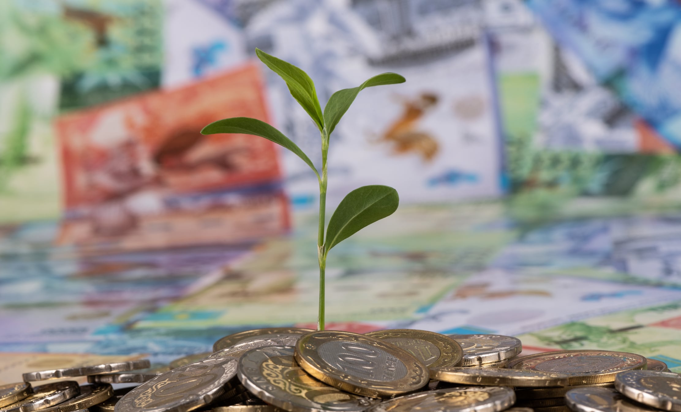Decline in agtech investments plateauing, climate change driving innovation: PitchBook report