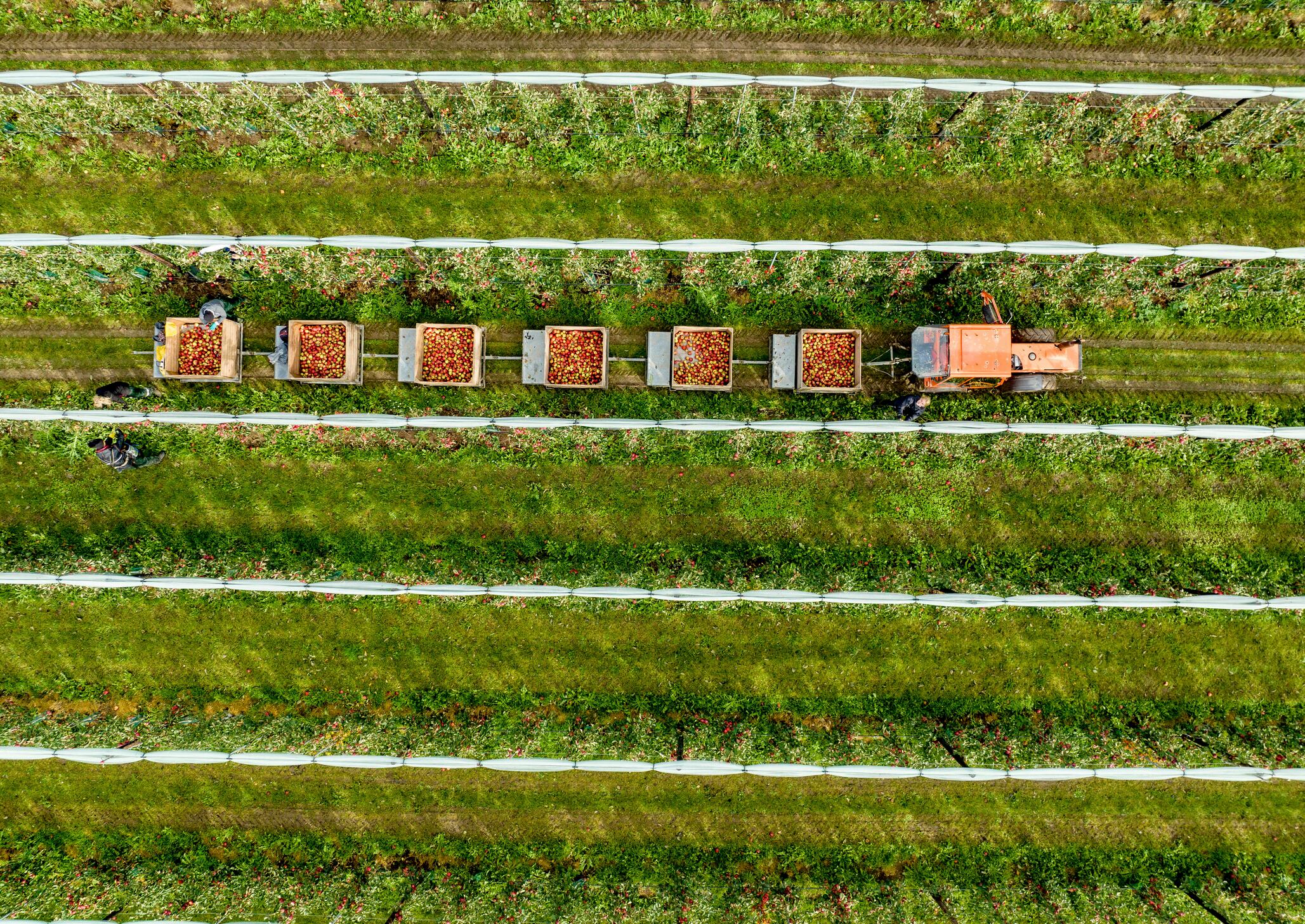English farmland from above: the government’s new roadmap promises long-term certainty, but industry says delivery will be key.