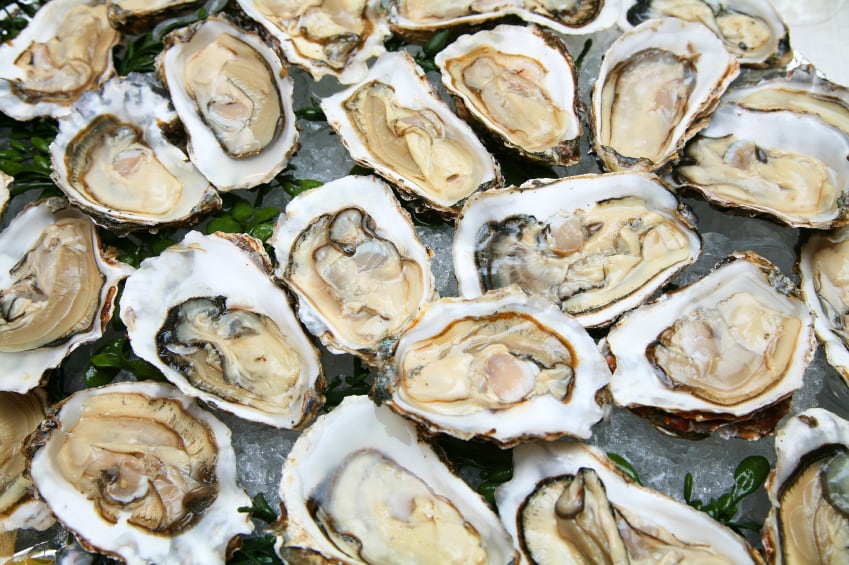 Oyster doom looms: Japan’s large-scale oyster deaths threatens next year’s harvest