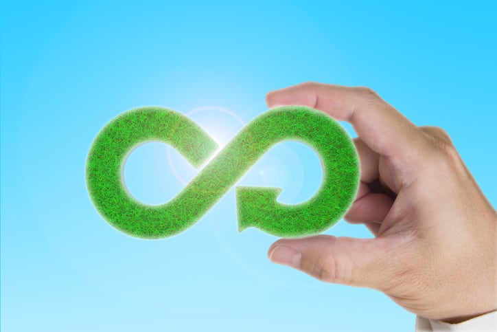 Nasekomo looking to bring about an insect led circular economy