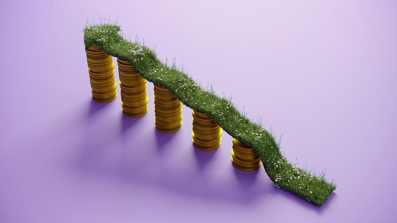 ‘We need a collage’: Blended finance models key to unlocking long-term impact for smallholders
