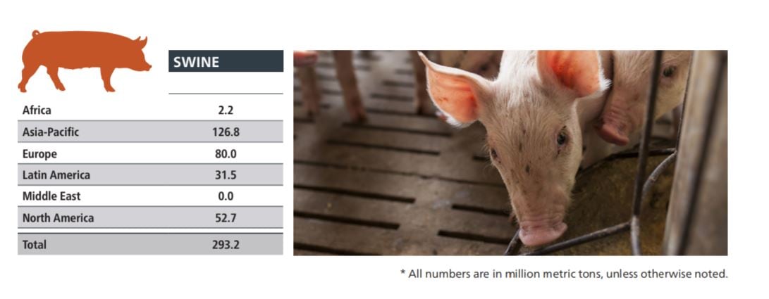 swine-feed-output-globally.jpg