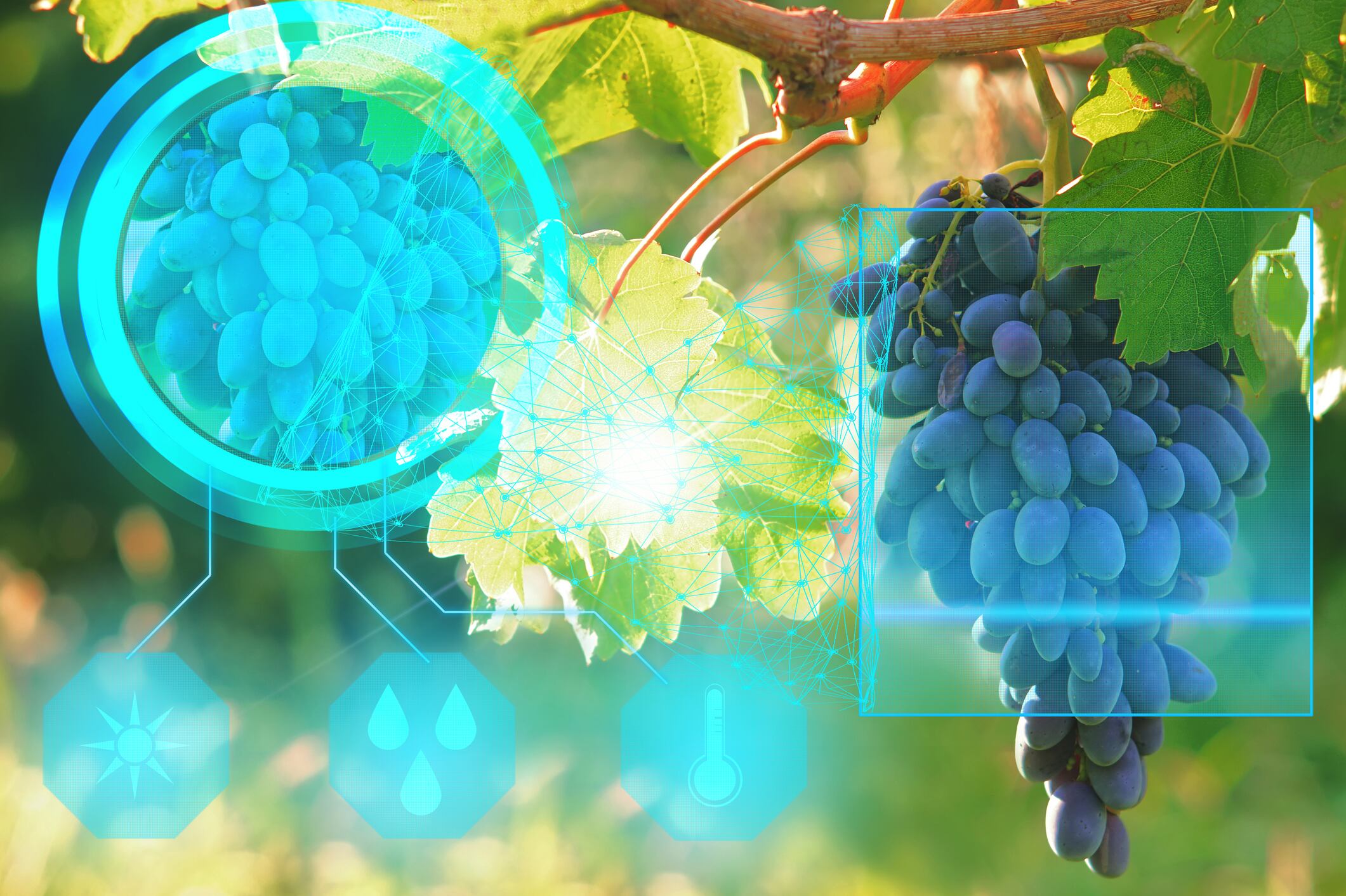 From reactive to predictive: How Ceres AI aims to redefine risk intelligence in agriculture