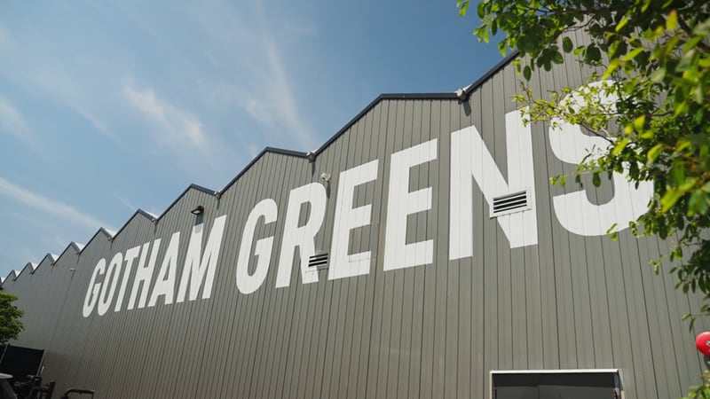 Celebrating 15 years: Indoor grower Gotham Greens shares recipe for success
