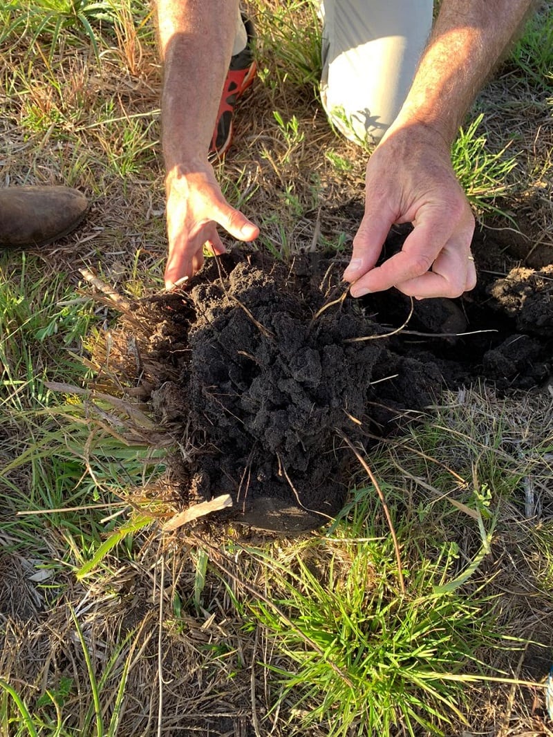 Boomitra-Soil-Restoration-South-America.jpg