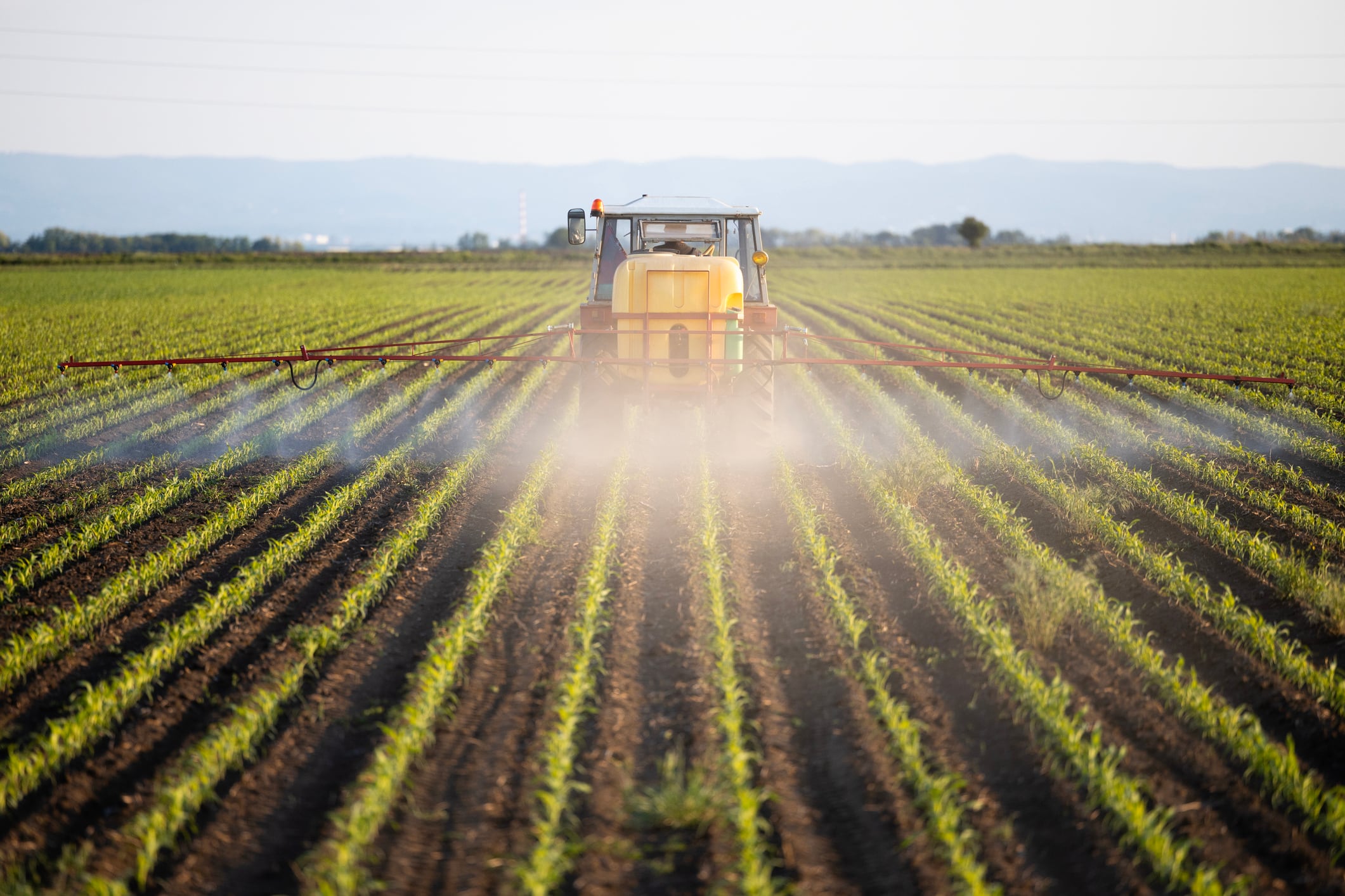 ‘We’re backing Australian farmers’: Australia secures 90,000 tonnes of urea to shield farms from fertiliser shortages