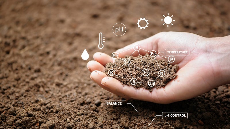 3 ways to improve soil health: Redox agronomist shares insight on reversing troubling ag trend