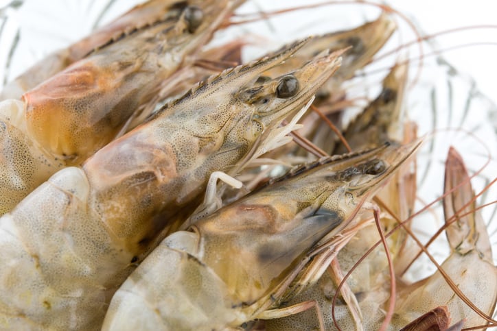 Fish-oil-free-shrimp-diets-may-benefit-from-DHA-additive-use.jpg